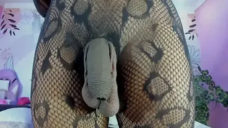 bigblacktransxxx webcam model stream image