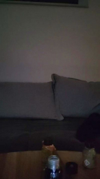 camsau231 webcam model stream image