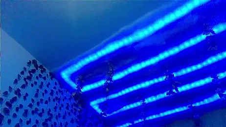 Andy_gray webcam model stream image