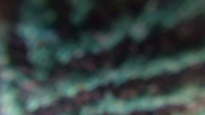 ANDREX1X webcam model stream image