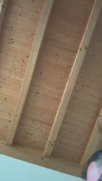 robertmeier_hot webcam model stream image