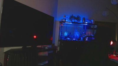 Latinlover513 webcam model stream image