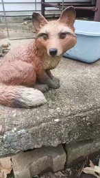 Latinlover513 webcam model stream image