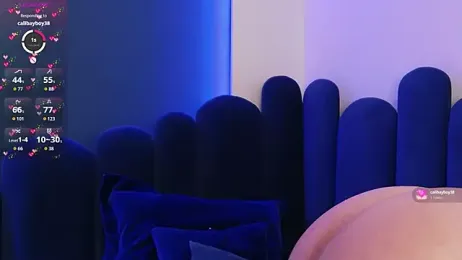 BeeaMayer webcam model stream image