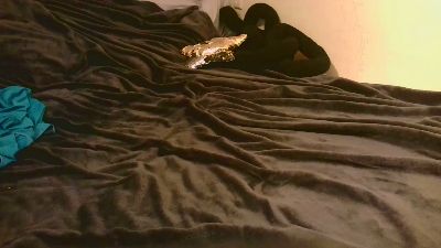 tozer6999 webcam model stream image