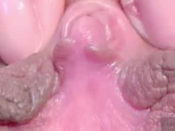 orchidekitty webcam model stream image