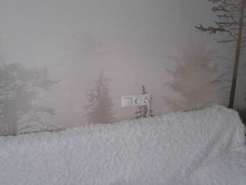 Red_Rose_98 webcam model stream image