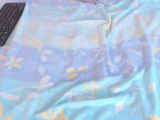 aikosnow webcam model stream image