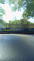 Erosmasck webcam model stream image