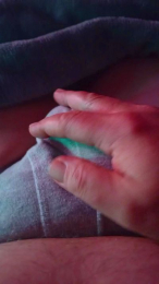 leobau webcam model stream image