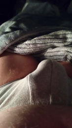 leobau webcam model stream image