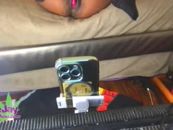 thebeejayshow webcam model stream image