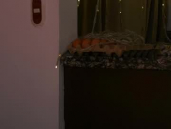 lola_cocks webcam model stream image