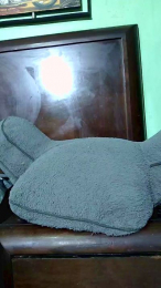 Beibyleon69 webcam model stream image