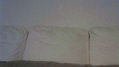 Permi webcam model stream image