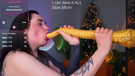 EvaCanton webcam model stream image