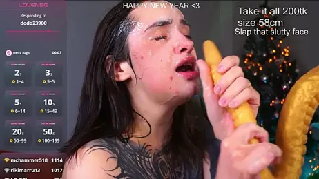 EvaCanton webcam model stream image