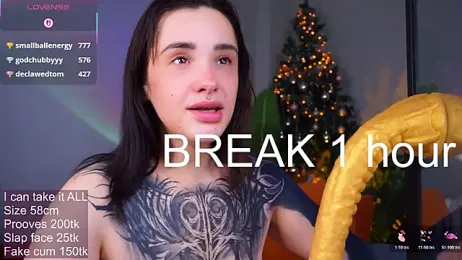 EvaCanton webcam model stream image