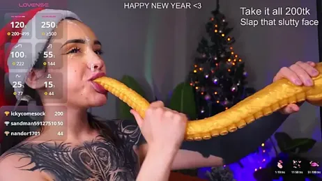 EvaCanton webcam model stream image