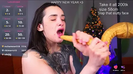 EvaCanton webcam model stream image