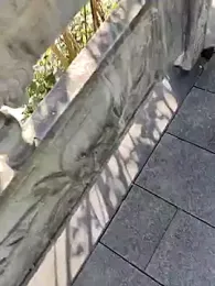 shaoshao-7758 webcam model stream image