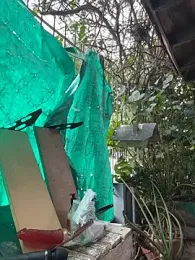 Sofyalone_ webcam model stream image