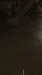 tocky webcam model stream image