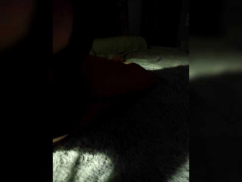 Koshkaxxx webcam model stream image