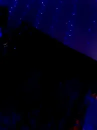 Buffshagswell webcam model stream image