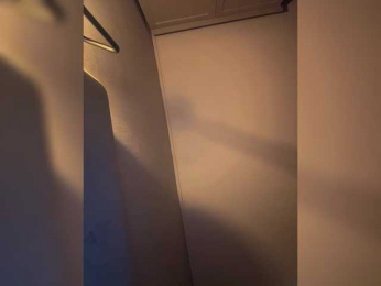 Rinaaamur webcam model stream image