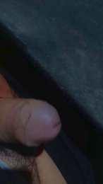 wimox webcam model stream image