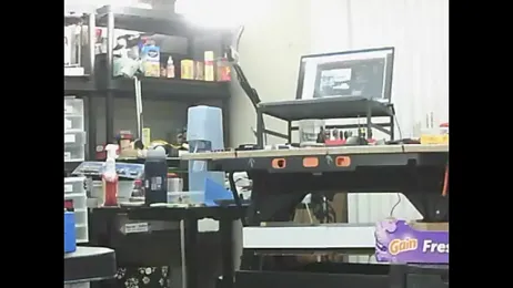 trittico webcam model stream image