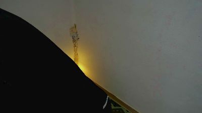 Layneinchains webcam model stream image