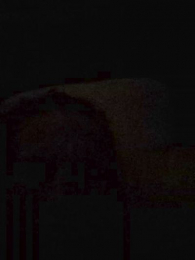 Skylarrain48 webcam cam4 model stream image