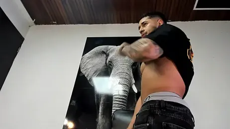 king_falconer webcam model stream image