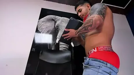 king_falconer webcam model stream image