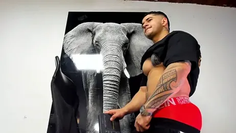 king_falconer webcam stripchat model stream image