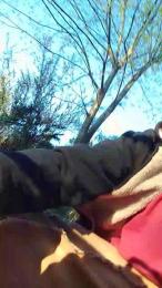 lLovePussy01 webcam model stream image