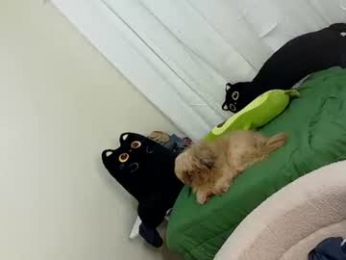 yougotelise69 webcam model stream image