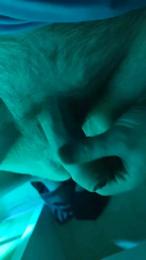 Malqueridobcn webcam cam4 model stream image