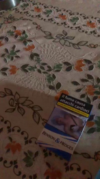 Famabri webcam model stream image