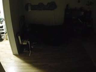 voyeurcam-celticiron-02 webcam model stream image