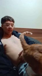 Toxicofav webcam model stream image