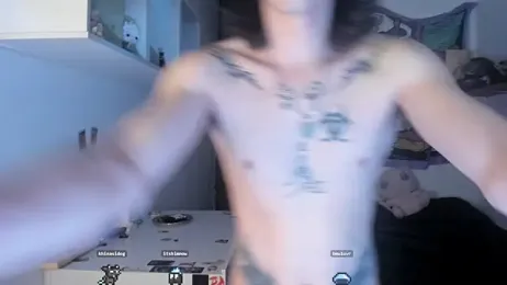 sai_l01 webcam model stream image