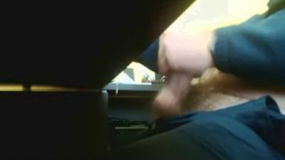 pongibear webcam model stream image