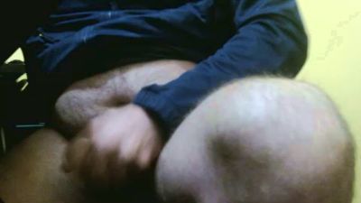 pongibear webcam model stream image