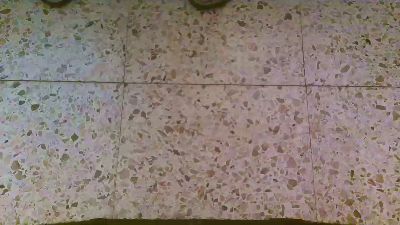 delgada388 webcam model stream image