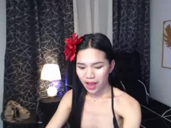 asianpetitefucker01 webcam model stream image