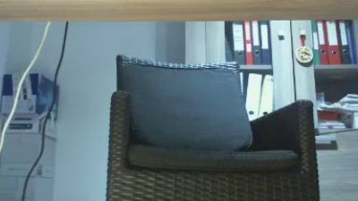 sentinel8001 webcam model stream image