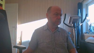 Narvestad webcam model stream image
